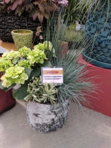 Cool Combos - Editor's Choice