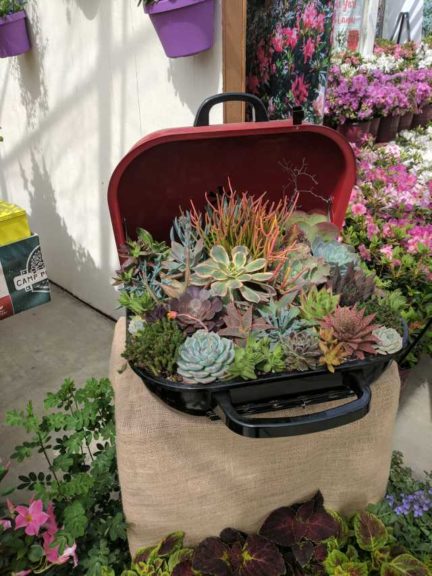 Cool Combos - Editor's Choice