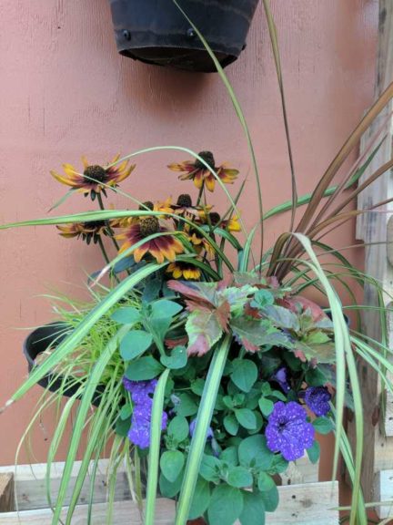 Cool Combos - Editor's Choice