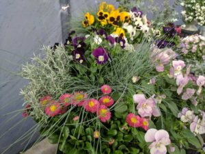 Cool Combos - Editor's Choice