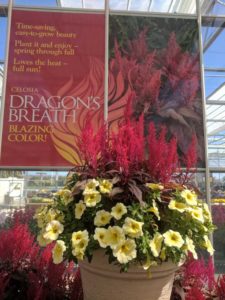 Cool Combos - Editor's Choice