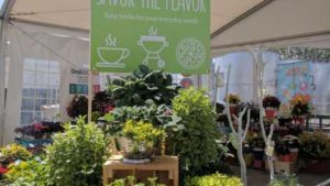 Dümmen Orange Provides Retail Concepts; Terra Nova Offers Solutions; Kientzler Gearing Up