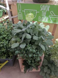 Cool Combos - Editor's Choice