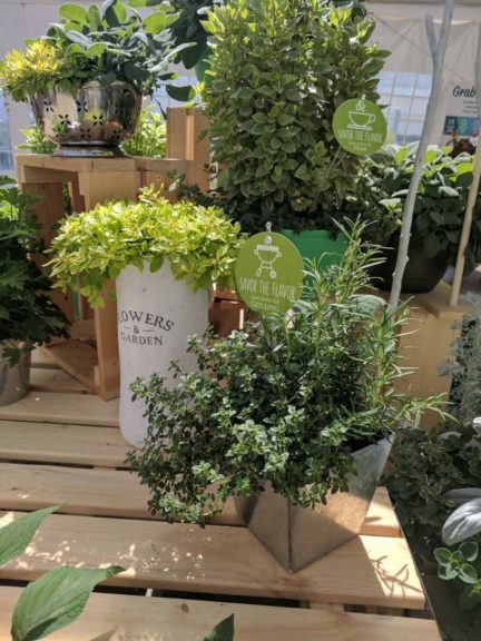 Cool Combos - Editor's Choice