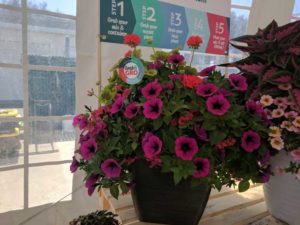 Cool Combos - Editor's Choice