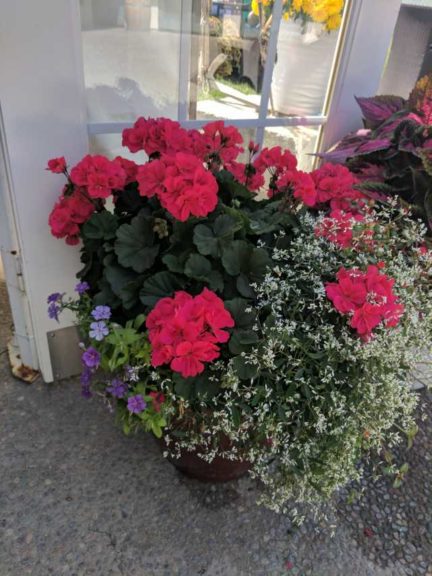 Cool Combos - Editor's Choice