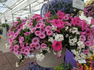 Cool Combos - Editor's Choice