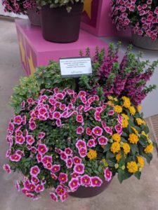 Cool Combos - Editor's Choice