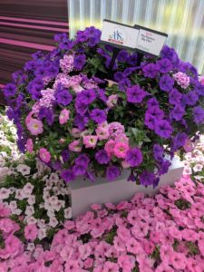 Cool Combos - Editor's Choice