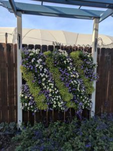 Cool Combos - Editor's Choice