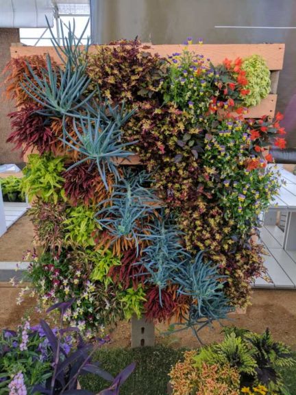 Cool Combos - Editor's Choice