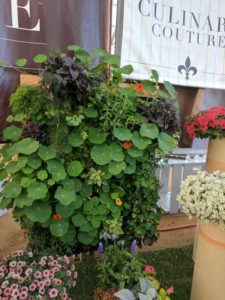 Cool Combos - Editor's Choice