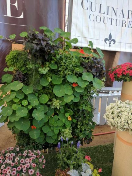 Cool Combos - Editor's Choice