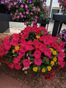 Cool Combos - Editor's Choice