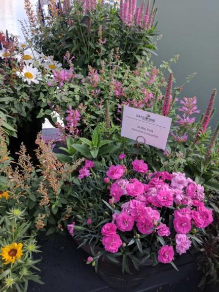 Cool Combos - Editor's Choice