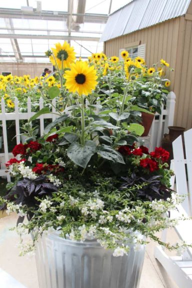 Cool Combos - Editor's Choice