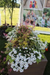 Cool Combos - Editor's Choice