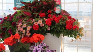 Cool Combos From CAST 2017 – Editor’s Choice