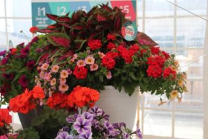 Cool Combos - Editor's Choice