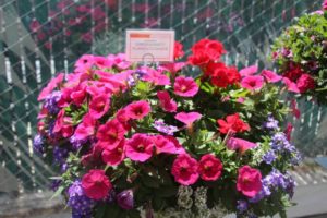 Cool Combos - Editor's Choice