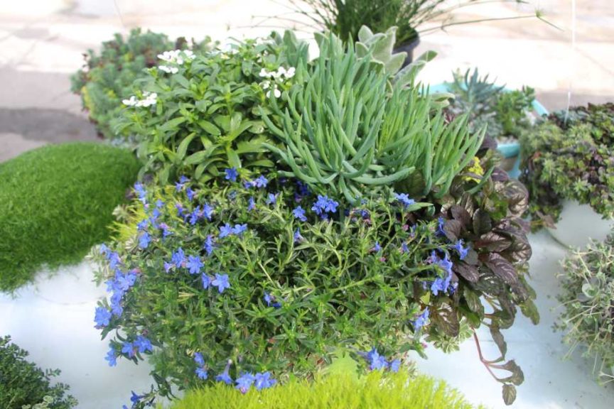 Cool Combos - Editor's Choice