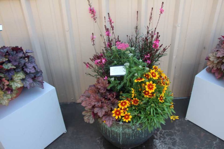 Cool Combos - Editor's Choice