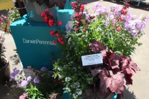 Cool Combos - Editor's Choice