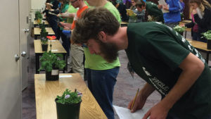 Hoffman Nursery Cheers On the Next Generation of Horticulturists