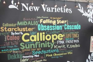 Day 1 - California Spring Trials 2017