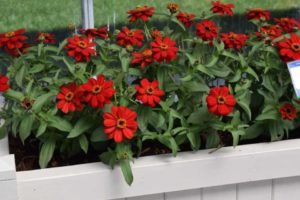 California Spring Trials - Day Three