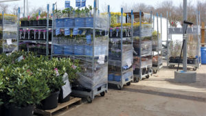 Pallet Shortage Notice Highlights Challenges of Pandemic Recovery