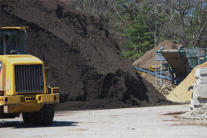 Cavicchio Greenhouses
