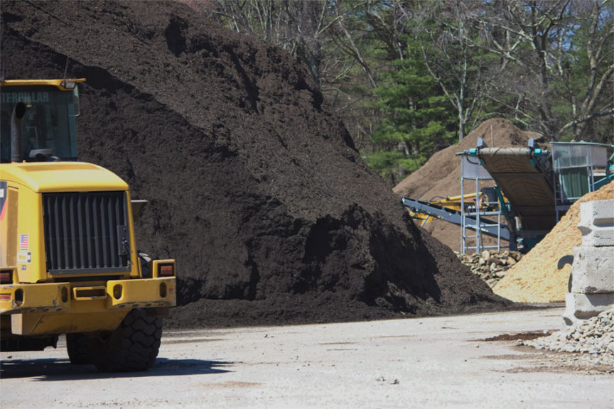 Cavicchio Greenhouses