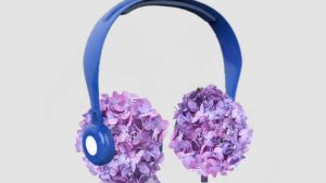 A Unique Marketing Campaign: Endless Summer Partners With Streaming Music Service Pandora