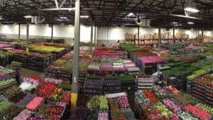 A Roadmap for Improving Efficiencies at Your Greenhouse