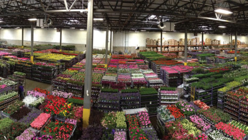 A Roadmap for Improving Efficiencies at Your Greenhouse