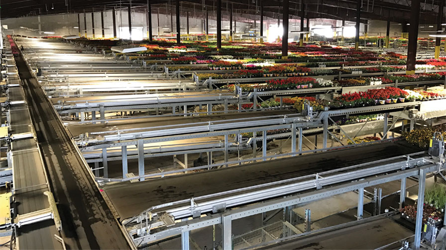 Bellpark Horticulture and Visser Shipping System