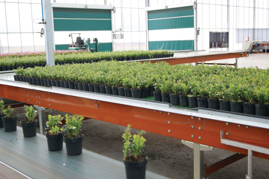 Buffer Belt Conveyors (Javo)