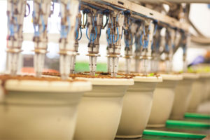 Cavicchio Greenhouses