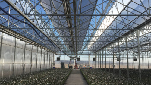 Growers Offer Advice on What to Know Before Your Next Building Project
