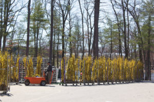 Cavicchio Greenhouses