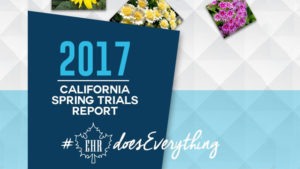 New California Spring Trials Report Now Available From Eason Horticultural Resources