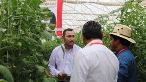 What to Do If a Food Industry Employee Tests Positive for COVID-19