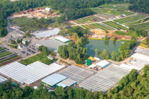 Cavicchio Greenhouses