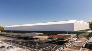 A Look Inside Florida’s Newest Cannabis Cultivation Facility