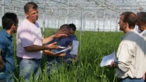 New Whitepaper Outlines How to Create an Optimal Climate for Plant Growth