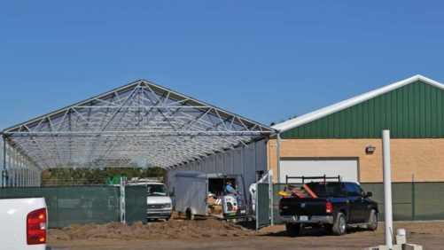 Ornamental Growers Will Revolutionize Cannabis Industry, Bruce Knox Says