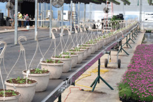 Rapid-Veyor PMC Portable Modular Conveyor (Rapid Automated)