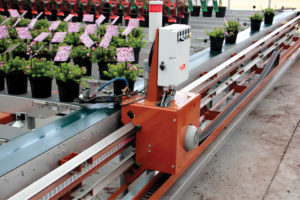 Sorting Systems (Javo)