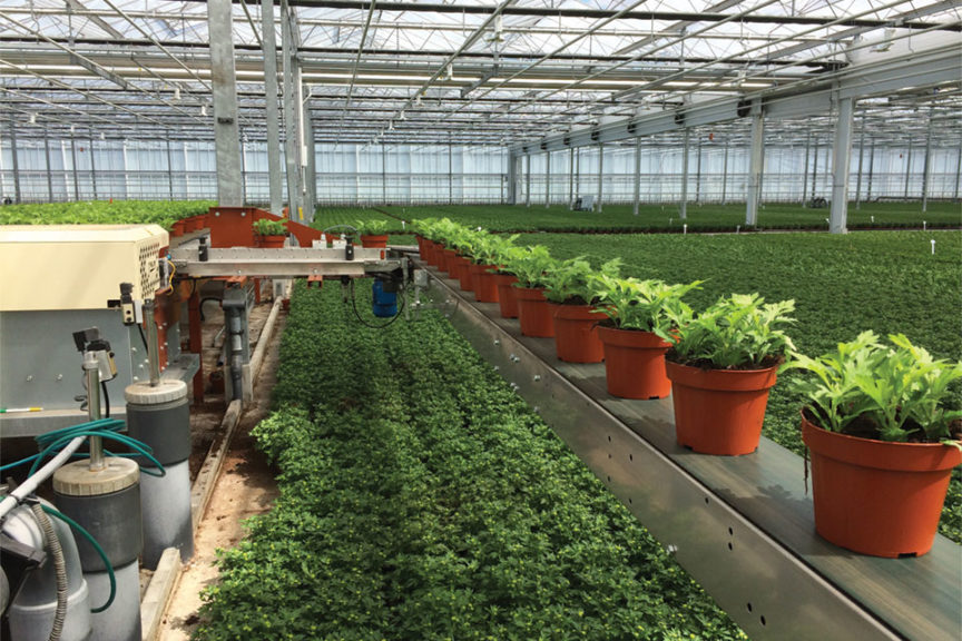 Transport Conveyors (Javo)